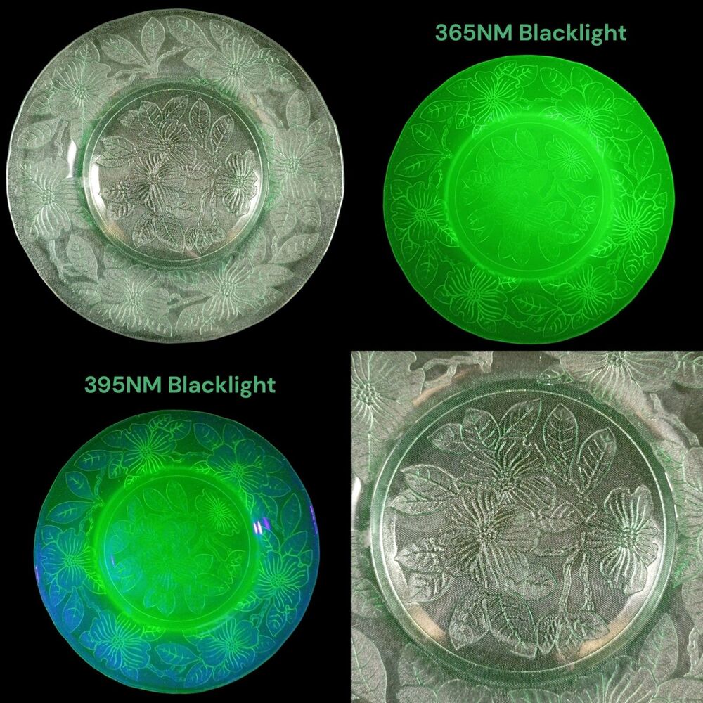 1x Vntg 1930s Uranium Glass MacBeth Evans Dogwood Embossed Plate UV Glow